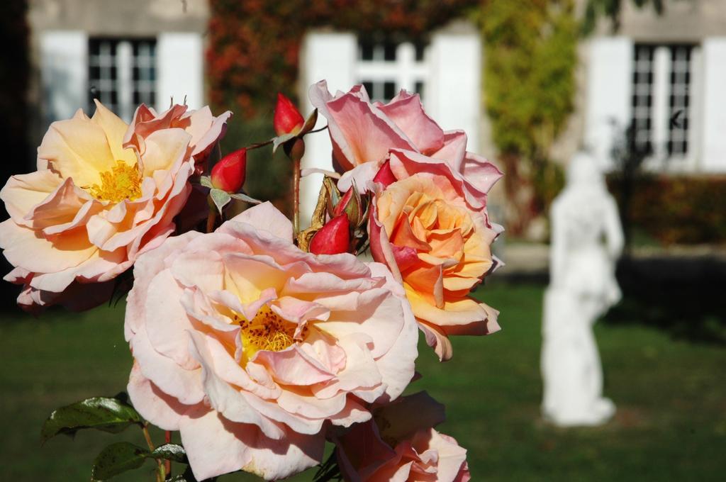 Bed and Breakfast Domaine De La Queyssie Saussignac Exterior foto