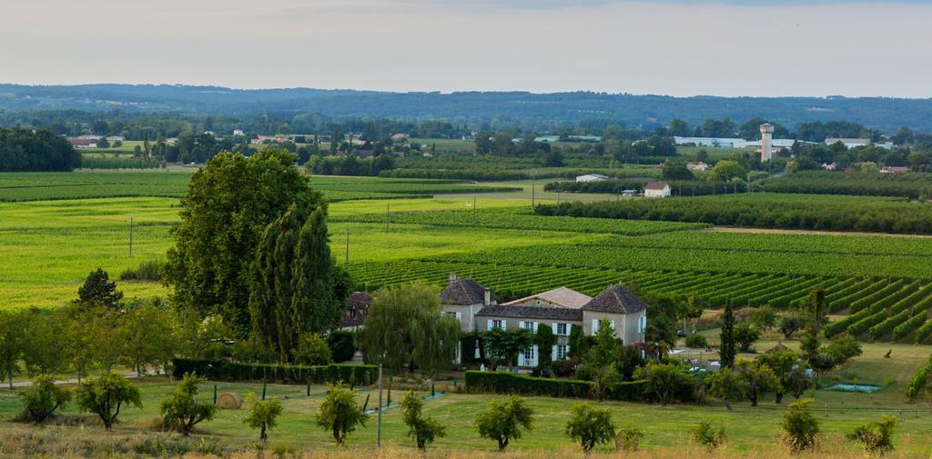 Bed and Breakfast Domaine De La Queyssie Saussignac Exterior foto